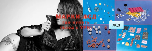 стафф Магадан