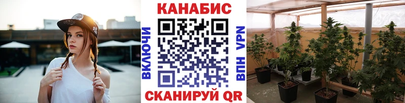Шишки марихуана Amnesia Ангарск